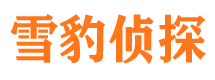 湘阴找人公司